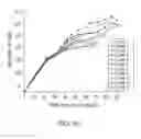 Fig. 15 - Isolation, expansion and use of clonogenic endothelial progenitor cells