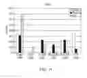 Fig. 28 - Isolation, expansion and use of clonogenic endothelial progenitor cells