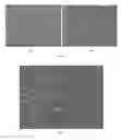 Fig. 02 - Hepatic cell lines and stem-like cells, methods of making and using the same