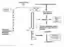 Fig. 05 - Hepatic cell lines and stem-like cells, methods of making and using the same
