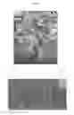 Fig. 21 - High efficiency microfluidic purification of stem cells to improve transplants