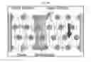 Fig. 22 - High efficiency microfluidic purification of stem cells to improve transplants
