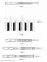 Fig. 02 - TRANSDUCIBLE MATERIALS FOR CELL REPROGRAMMING