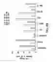Fig. 12 - TISSUE ENGINEERED MODELS OF CANCERS