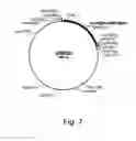 Fig. 08 - Polypeptides Having Lipase Activity and Polynucleotides Encoding Same