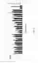 Fig. 16 - CELLULASES, NUCLEIC ACIDS ENCODING THEM AND METHODS FOR MAKING AND USING THEM