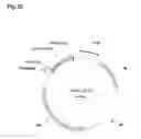 Fig. 15 - Bacterial hyaluronidase and process for its production