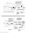 Fig. 10 - Compositions, methods and kits for real-time nucleic acid analysis in live cells