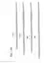 Fig. 16 - Compositions, methods and kits for real-time nucleic acid analysis in live cells
