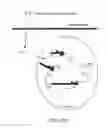 Fig. 27 - Compositions, methods and kits for real-time nucleic acid analysis in live cells