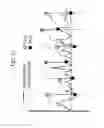 Fig. 34 - Compositions, methods and kits for real-time nucleic acid analysis in live cells