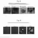 Fig. 09 - Cell culturing method, cell culturing apparatus and kit comprising a porous polyimide film