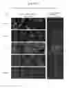 Fig. 16 - Cell culturing method, cell culturing apparatus and kit comprising a porous polyimide film