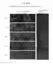 Fig. 18 - Cell culturing method, cell culturing apparatus and kit comprising a porous polyimide film