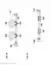 Fig. 06 - Methods for the Production of Long Length Clonal Sequence Verified Nucleic Acid Constructs