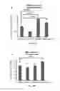 Fig. 33 - Methods and compositions using miR-3151 in the diagnosis and treatment of thyroid cancer