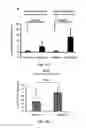 Fig. 38 - Methods and compositions using miR-3151 in the diagnosis and treatment of thyroid cancer