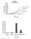 Fig. 56 - Methods and compositions using miR-3151 in the diagnosis and treatment of thyroid cancer