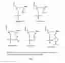 Fig. 03 - UNA single stranded oligomers for therapeutics