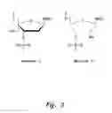 Fig. 04 - UNA single stranded oligomers for therapeutics