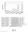 Fig. 05 - UNA single stranded oligomers for therapeutics