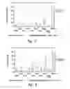 Fig. 06 - UNA single stranded oligomers for therapeutics