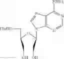 Fig. 09 - UNA single stranded oligomers for therapeutics