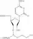 Fig. 14 - UNA single stranded oligomers for therapeutics
