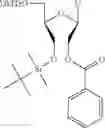 Fig. 18 - UNA single stranded oligomers for therapeutics