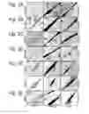 Fig. 04 - MODULATION OF EXON RECOGNITION IN PRE-MRNA BY INTERFERING WITH THE SECONDARY RNA STRUCTURE