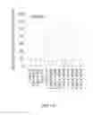 Fig. 02 - CpG-OLIGODEOXYNUCLEOTIDE, IMMUNOGENIC COMPOSITION COMPRISING THE SAME, AND METHODS FOR PREPARING THE COMPOSITION AND STIMULATING IMMUNE RESPONSE THEREBY