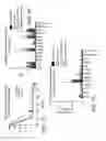 Fig. 10 - ANTISENSE DESIGN