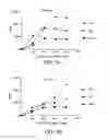 Fig. 04 - ANTISENSE DESIGN