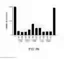 Fig. 07 - ANTISENSE DESIGN