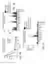 Fig. 10 - ANTISENSE DESIGN
