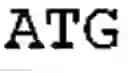Fig. 02 - Enhanced protein expression in 