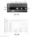 Fig. 23 - Methods and Compositions for Plant Pest Control