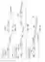 Fig. 05 - METABOLICALLY ACTIVATED RECOMBINANT VIRAL VECTORS AND METHODS FOR THEIR PREPARATION AND USE
