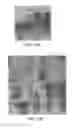 Fig. 09 - METABOLICALLY ACTIVATED RECOMBINANT VIRAL VECTORS AND METHODS FOR THEIR PREPARATION AND USE