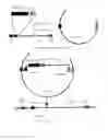 Fig. 04 - Construction of fully-deleted adenovirus-based gene delivery vectors and uses thereof