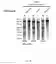 Fig. 74 - ONCOGENIC MODELS BASED ON DELIVERY AND USE OF THE CRISPR-CAS SYSTEMS, VECTORS AND COMPOSITIONS