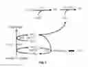 Fig. 03 - GENETICALLY MODIFIED ORGANISMS