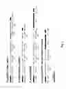 Fig. 03 - Genetic engineering of KT2440 for rapid and high yield production of vanillin from ferulic acid