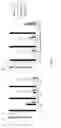 Fig. 07 - Genetic engineering of KT2440 for rapid and high yield production of vanillin from ferulic acid