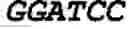 Fig. 05 - Materials and methods for production of bi-functional fatty acids in recombinant bacteria