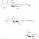 Fig. 07 - Inositol biotransformation