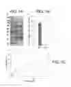 Fig. 02 - ENHANCED CELLULOSE DEGRADATION