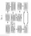 Fig. 12 - ENHANCED CELLULOSE DEGRADATION