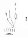 Fig. 07 - Device and methods of using device for detection of aminoacidopathies