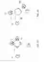 Fig. 02 - COMPOSITIONS AND METHODS FOR DETECTING PATHOGENS
